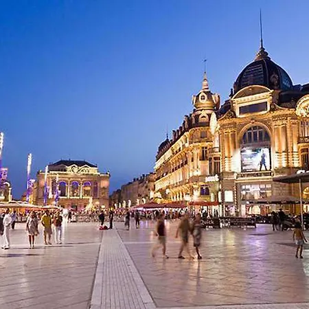 Apartment Comedie Musee-fabre Parking Offert Climatisation Montpellier